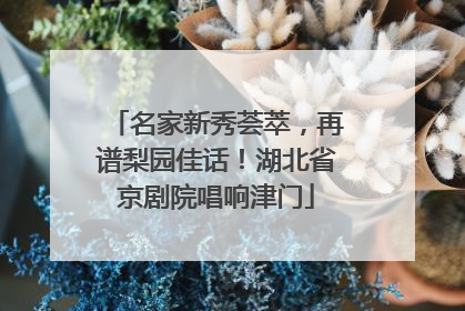 名家新秀荟萃，再谱梨园佳话！湖北省京剧院唱响津门